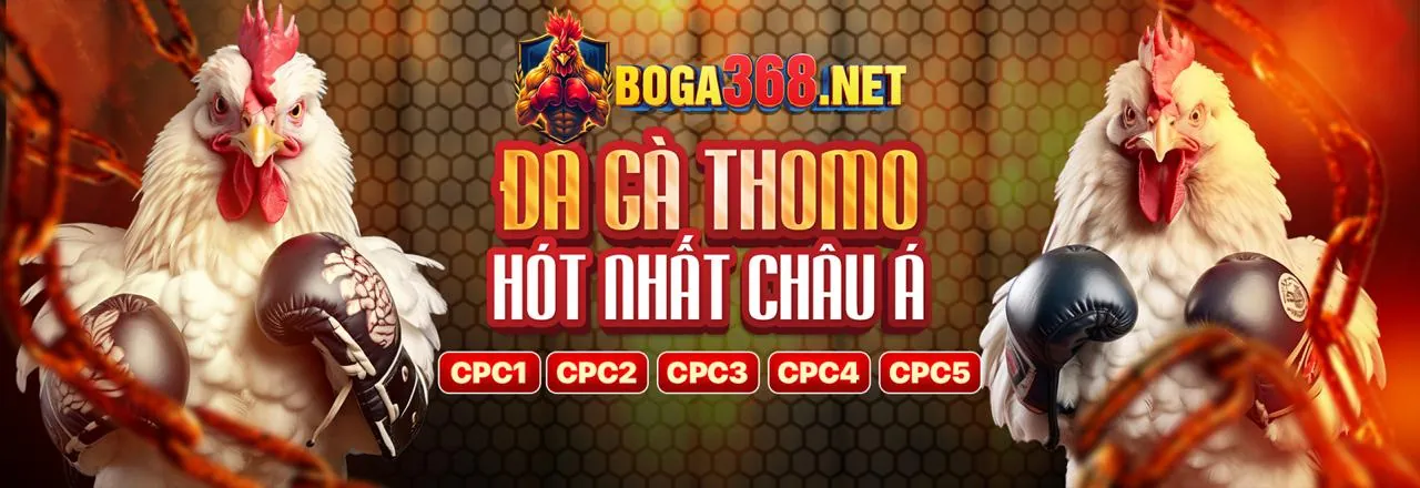 Đấu trường đá gà trực tuyến sôi động tại M98 Link Vào
